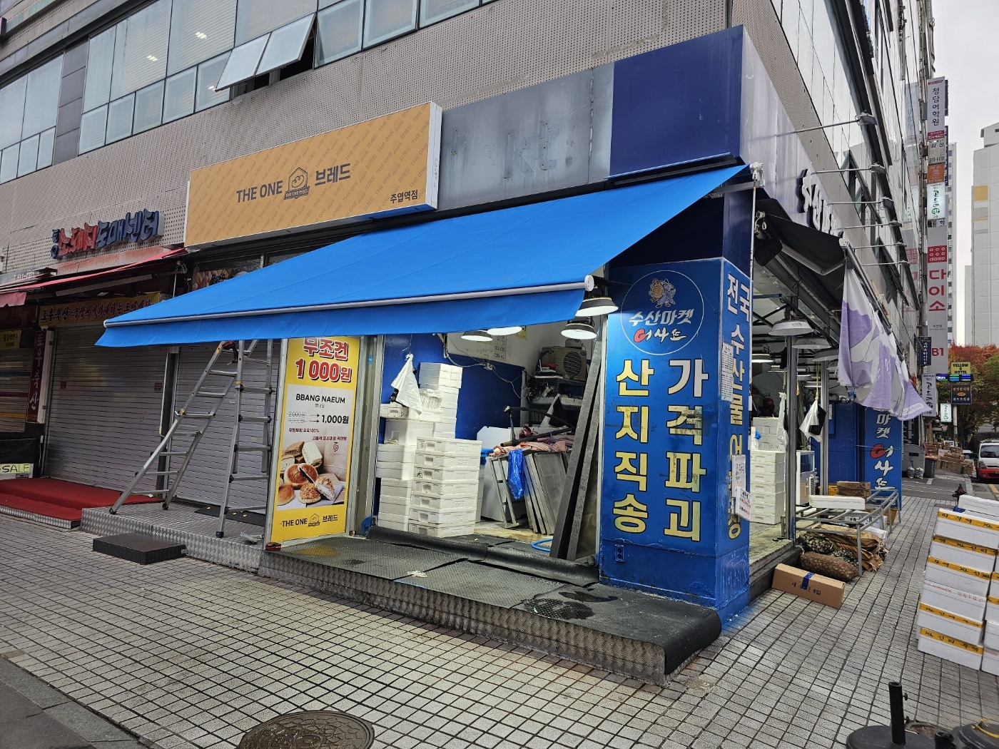 31396258_ULHmNoJX_be3cfd1afbdfa5f05d5bc5019cc1cab5936ae719.jpg 이미지크게보기