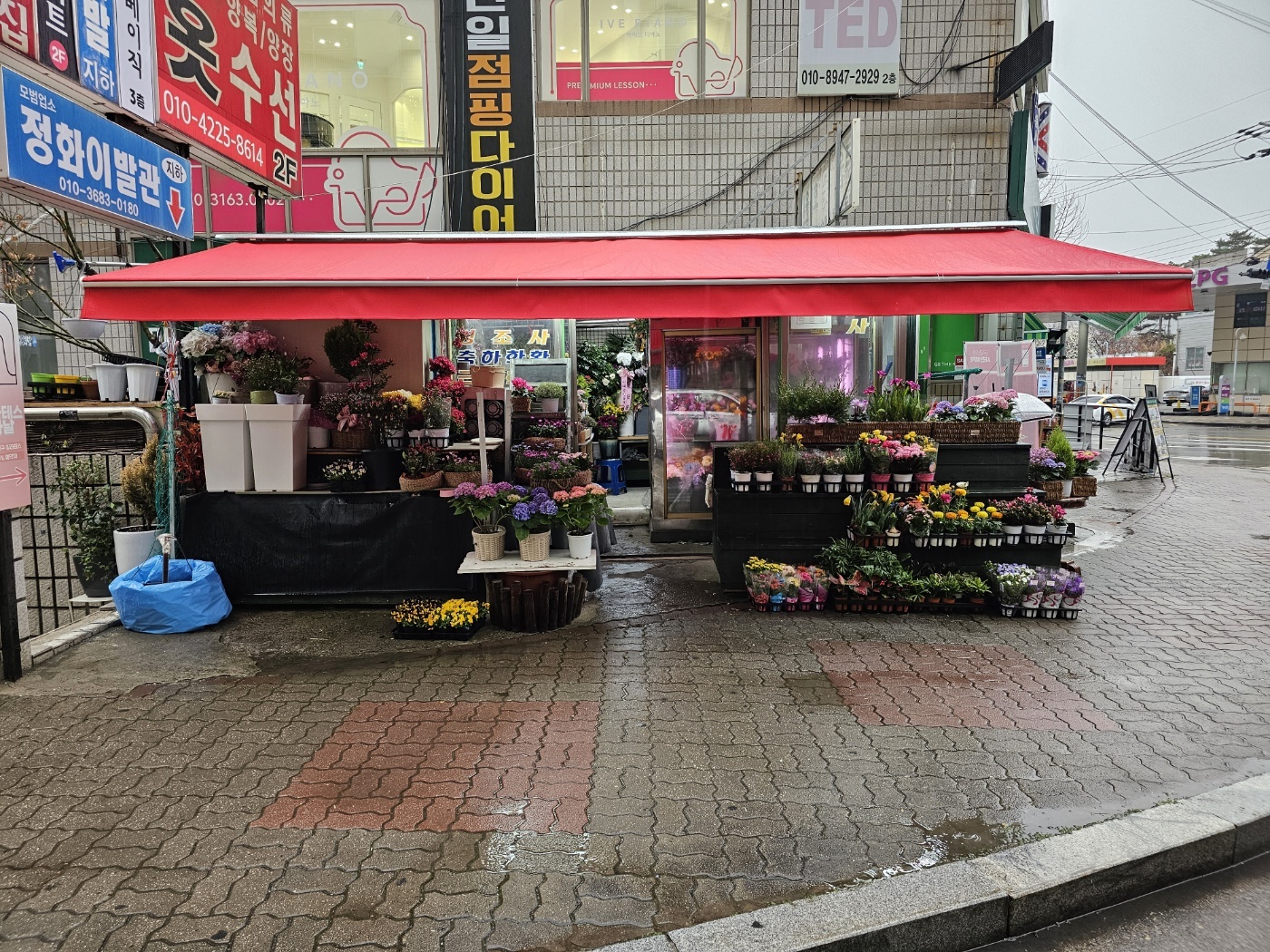 31396258_xV3HOR0t_c6e231e72acb2a9625bcd6bf10296ab8c57cae1e.jpg 이미지크게보기